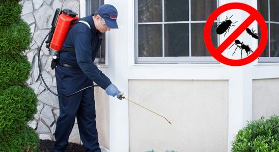 Beytüşşebap Bit İlaçlama böcek ilaçlama ve haşere kontrolü — ilaclama-tr.com